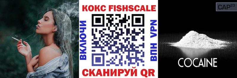COCAIN Fish Scale  kraken вход  Новосокольники 