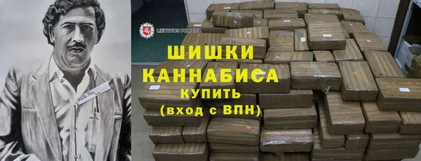 стафф Вязьма
