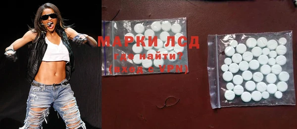 стафф Вязьма