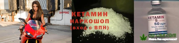 стафф Вязьма