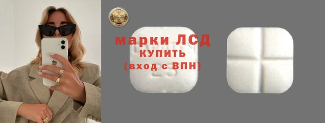 стафф Вязьма