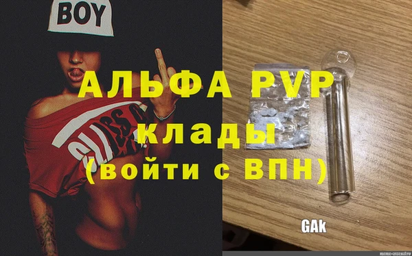 стафф Вязьма