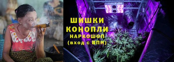 стафф Вязьма