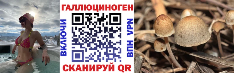 Галлюциногенные грибы MAGIC MUSHROOMS  hydra зеркало  Новосокольники  как найти наркотики 